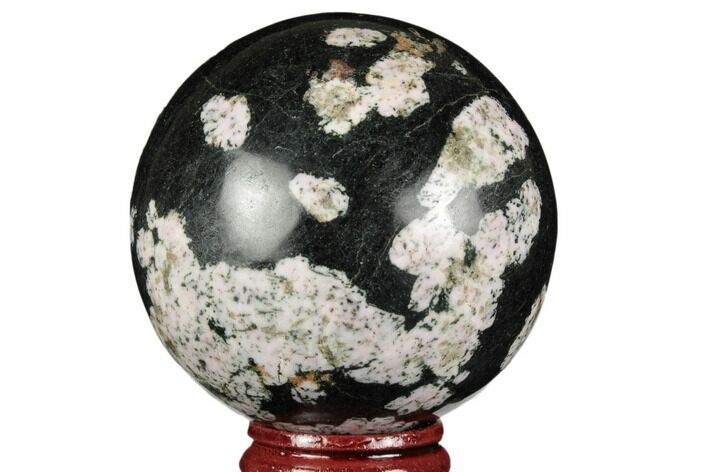 Polished Snowflake Stone Sphere - Pakistan #187521